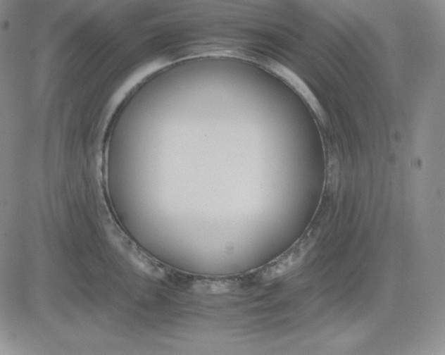 X0000081291051200701251648