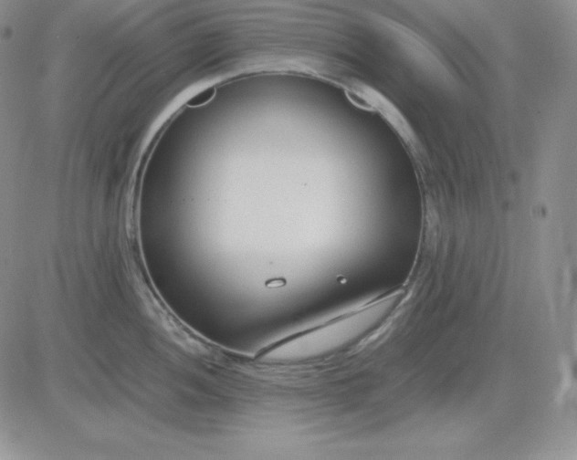 X0000081291052200701251648