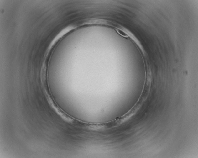 X0000081291053200701251648