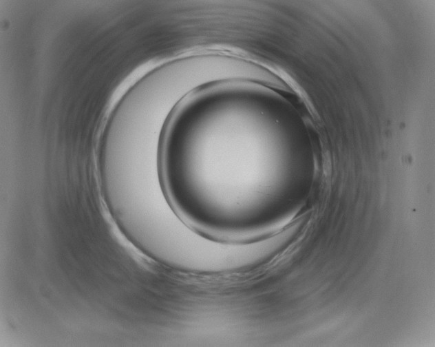 X0000081291054200701251648