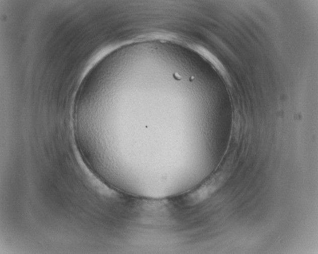 X0000081291055200701251648