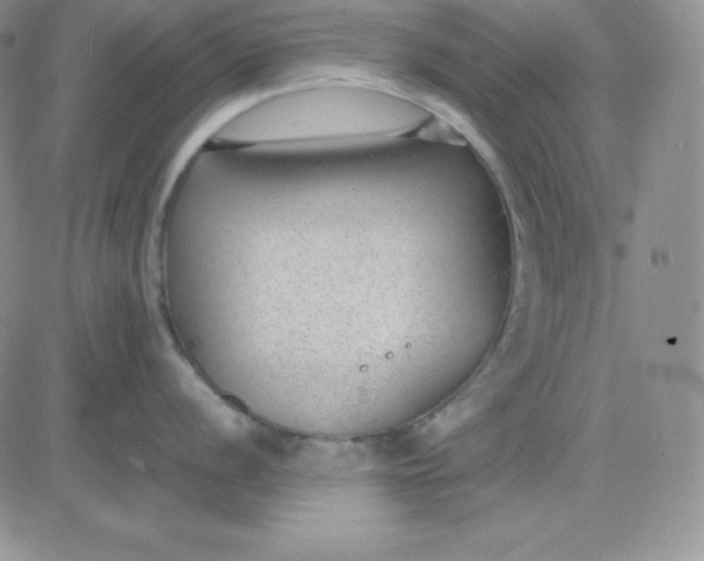 X0000081291056200701251648