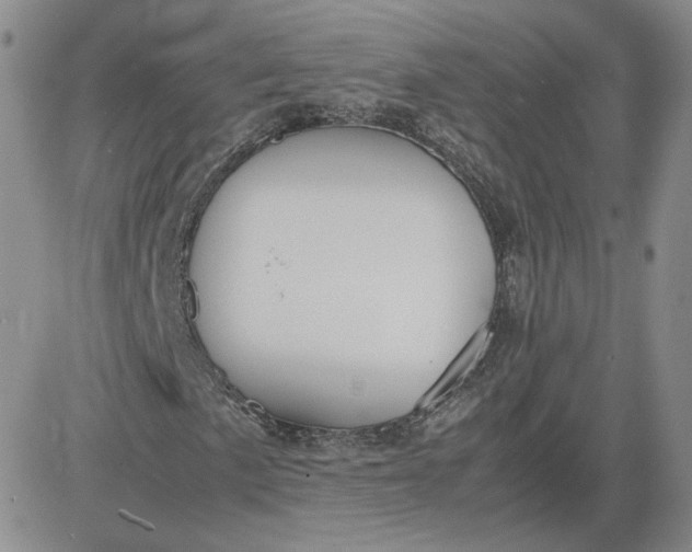 X0000081291057200701251647