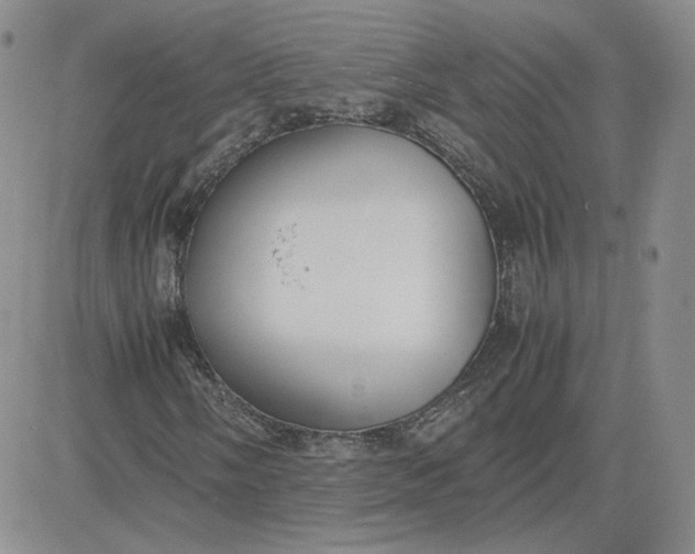 X0000081291058200701251647