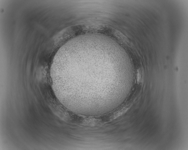 X0000081291059200701251647