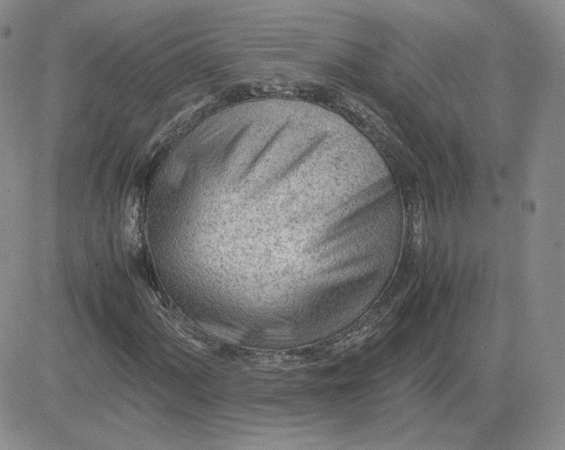 X0000081291060200701251647