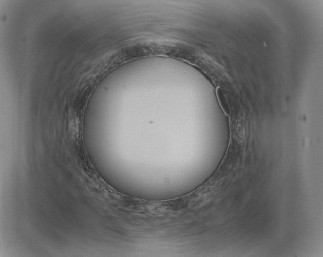 X0000081291061200701251647