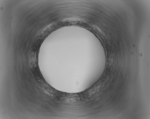 X0000081291062200701251647