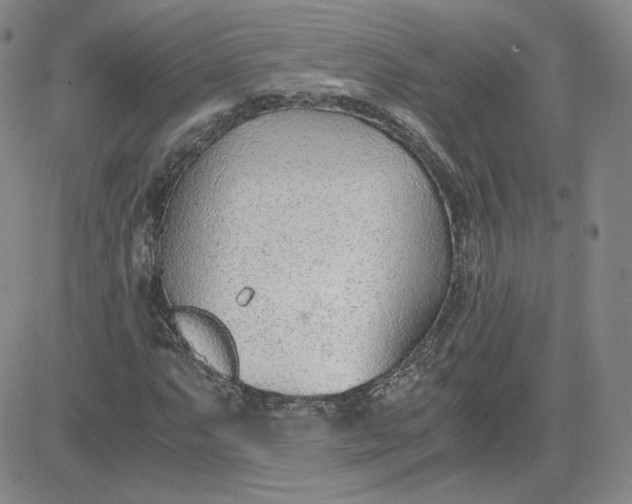 X0000081291063200701251647