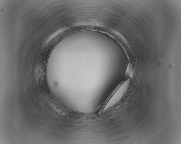 X0000081291064200701251647