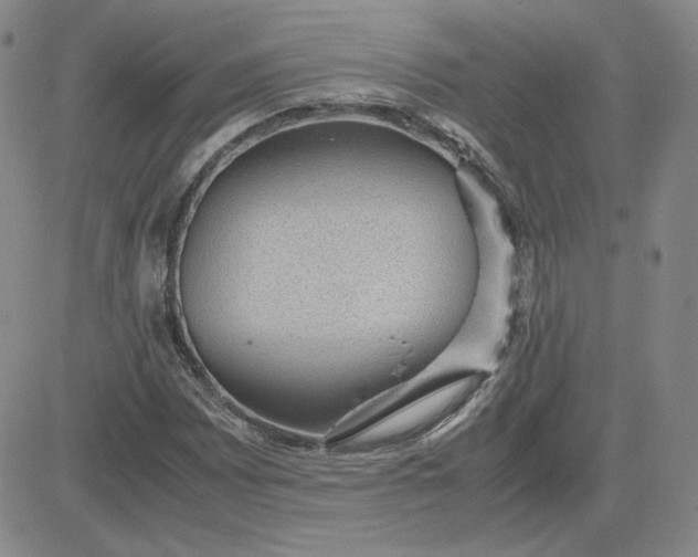 X0000081291065200701251647