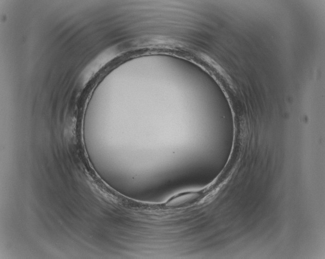 X0000081291066200701251647