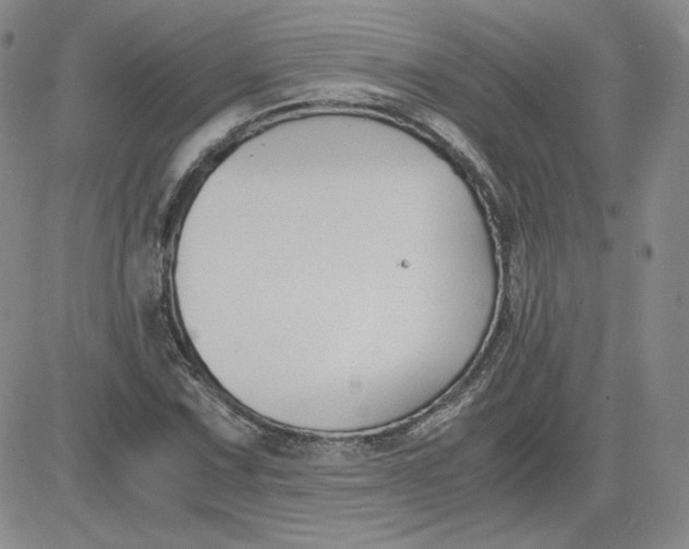 X0000081291067200701251647