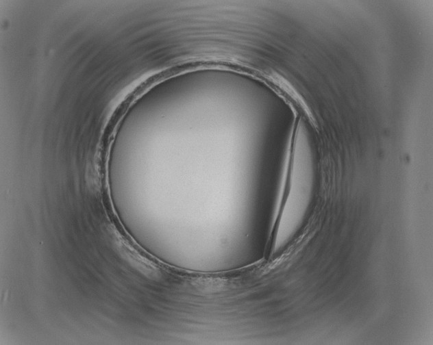 X0000081291068200701251647