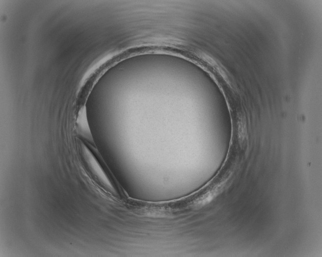 X0000081291069200701251647