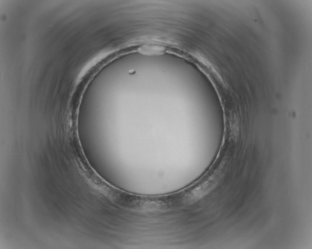 X0000081291070200701251647