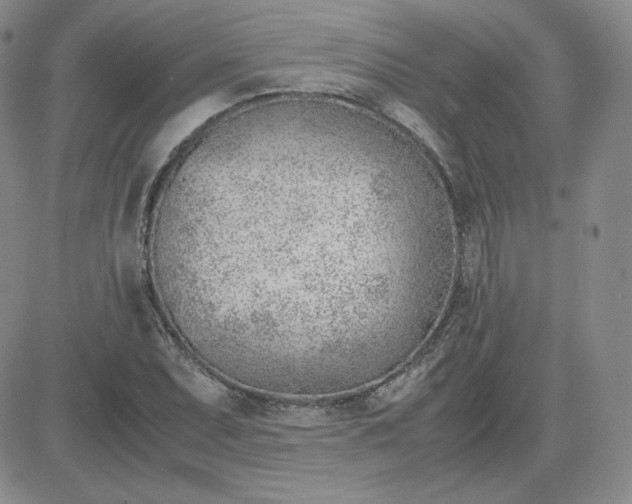 X0000081291071200701251647