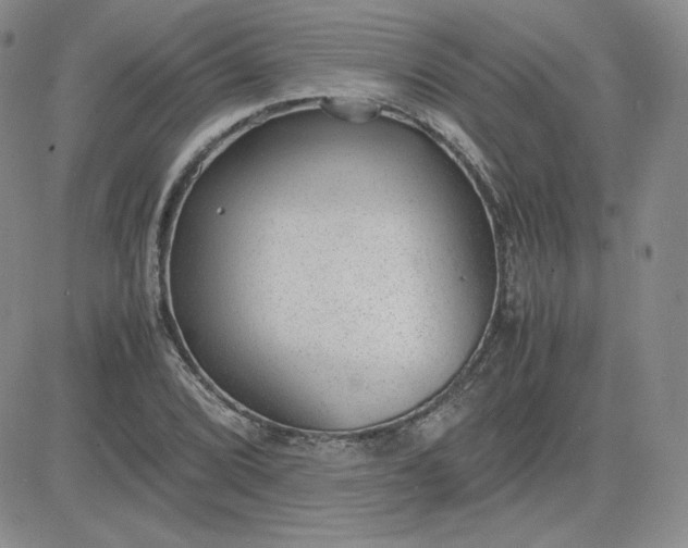 X0000081291072200701251647