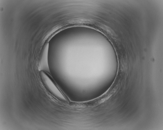 X0000081291073200701251647