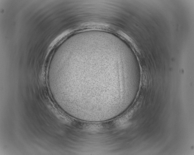 X0000081291074200701251647