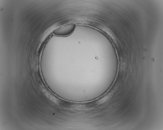 X0000081291075200701251647