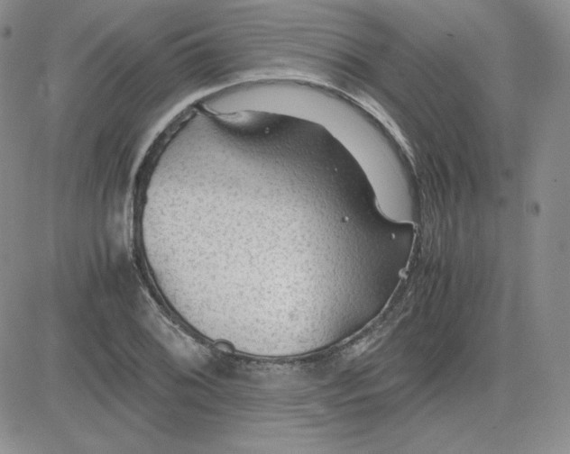 X0000081291076200701251647