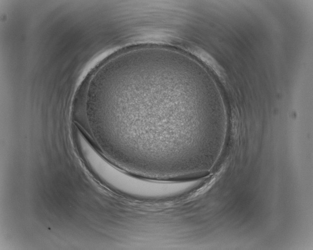 X0000081291077200701251647