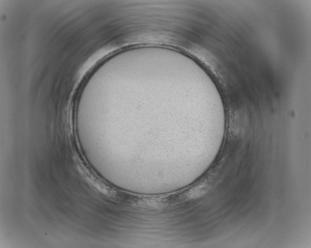 X0000081291078200701251647