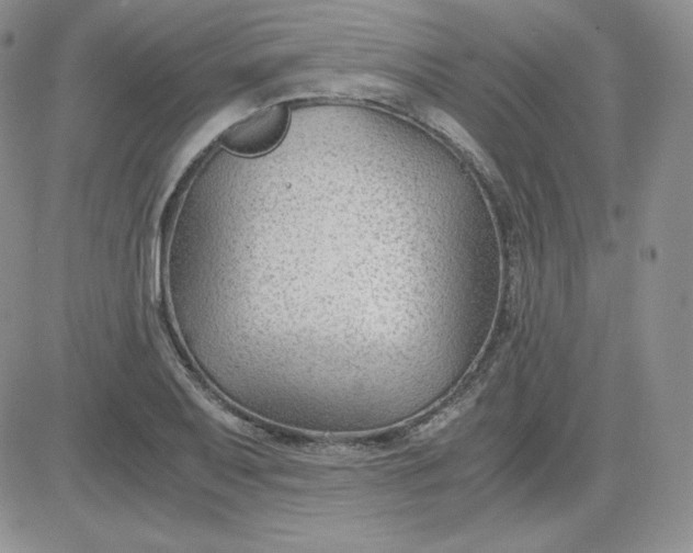 X0000081291079200701251647