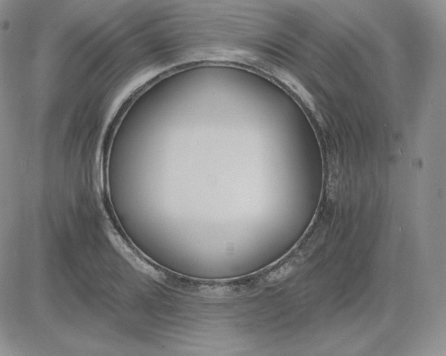 X0000081291080200701251647