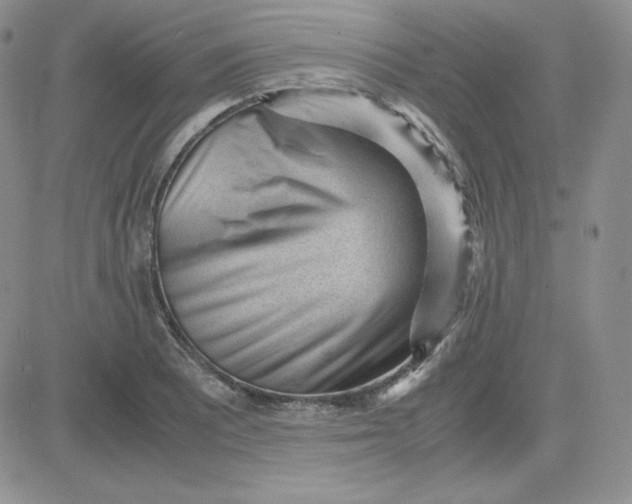 X0000081291081200701251647