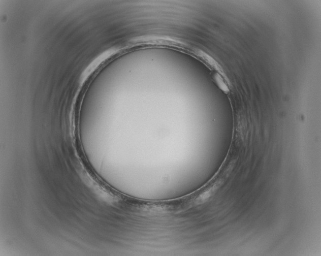 X0000081291082200701251647