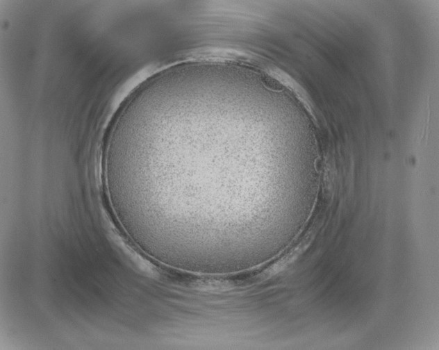 X0000081291083200701251647