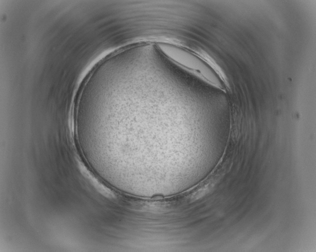 X0000081291084200701251647