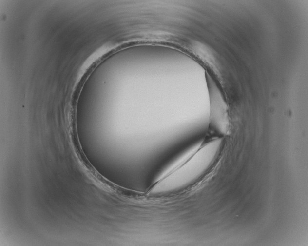 X0000081291085200701251647