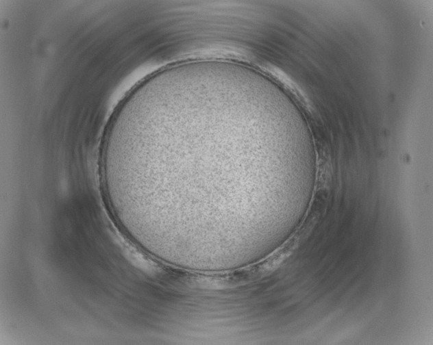 X0000081291086200701251647