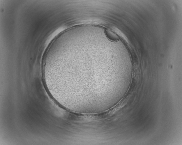 X0000081291087200701251647