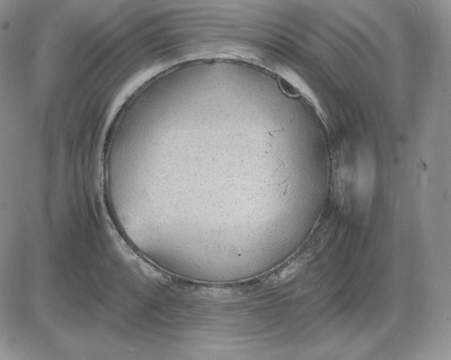 X0000081291088200701251647