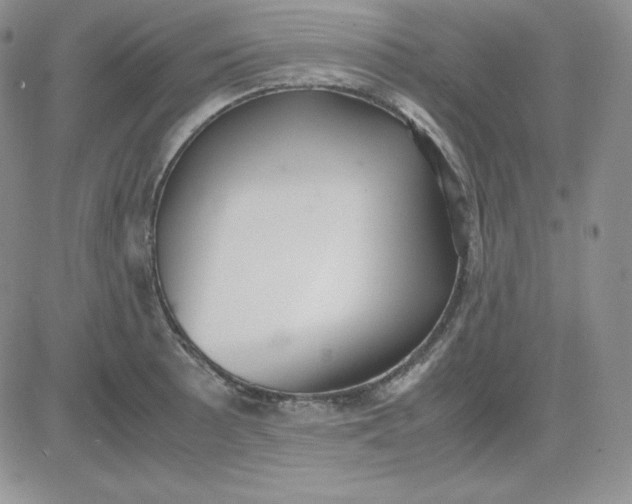 X0000081291089200701251647