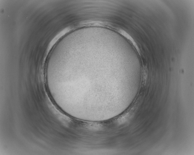 X0000081291090200701251647