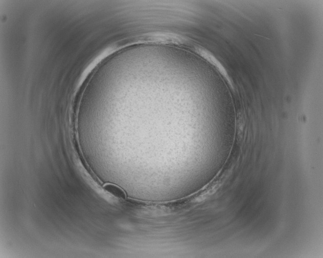 X0000081291091200701251647