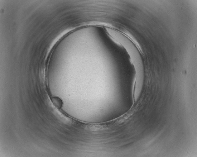 X0000081291092200701251647