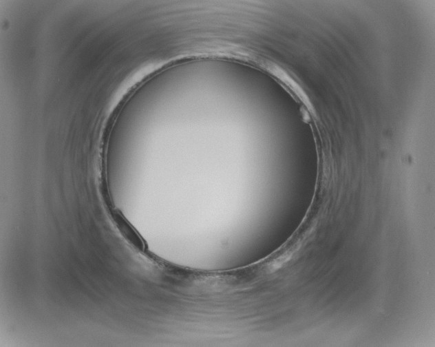 X0000081291093200701251647