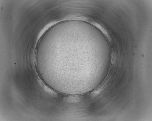 X0000081291094200701251647