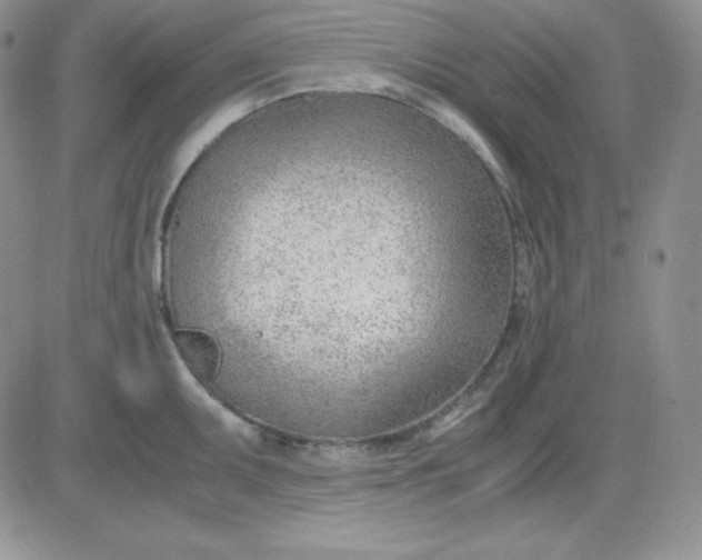 X0000081291095200701251647