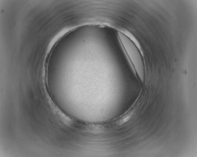 X0000081291096200701251647