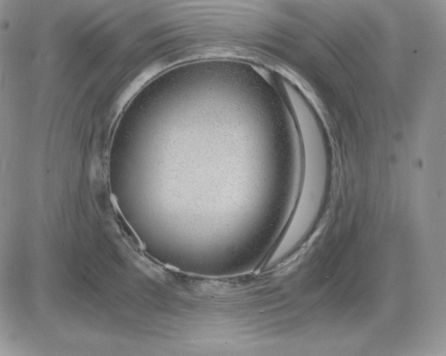 X0000081291097200701251647