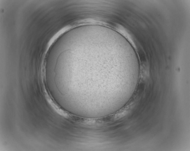 X0000081291098200701251647