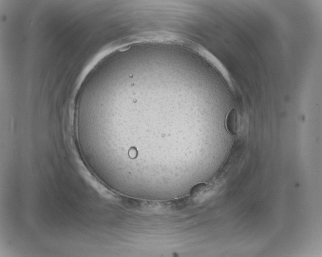 X0000081291099200701251647