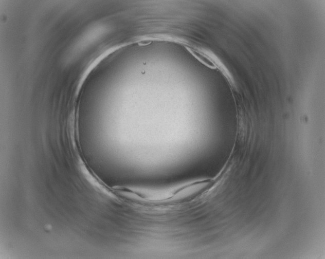 X0000081291100200701251647